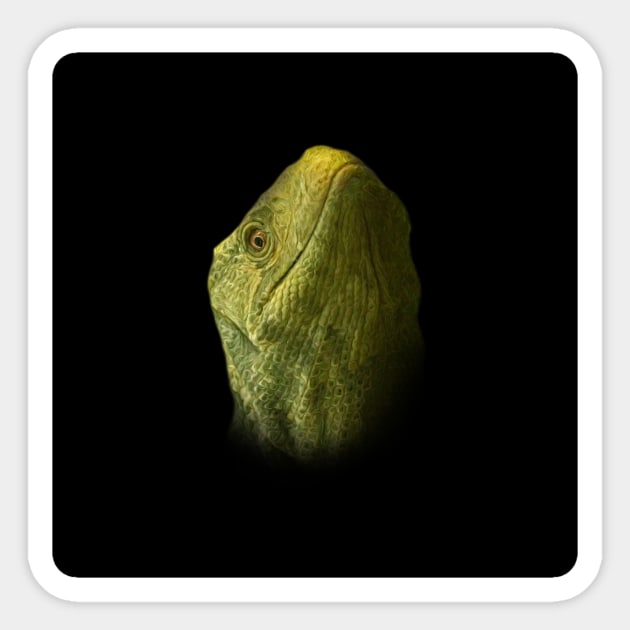 Varanus portrait Sticker by Guardi